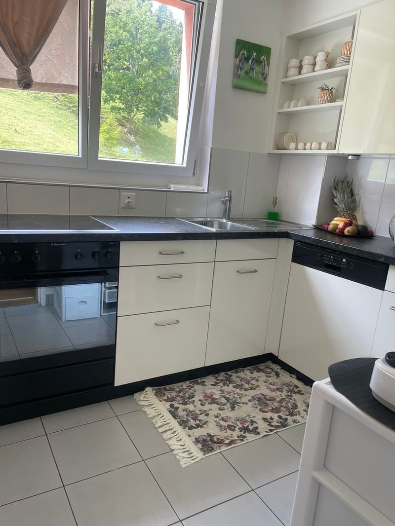grosse 4 1/2 Zimmer-Wohnung mit sonnigem Balkon (3)