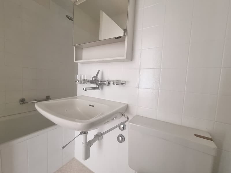 Tolle Single Wohnung mit Einstellplatz - mit traumhafter Aussicht (5)