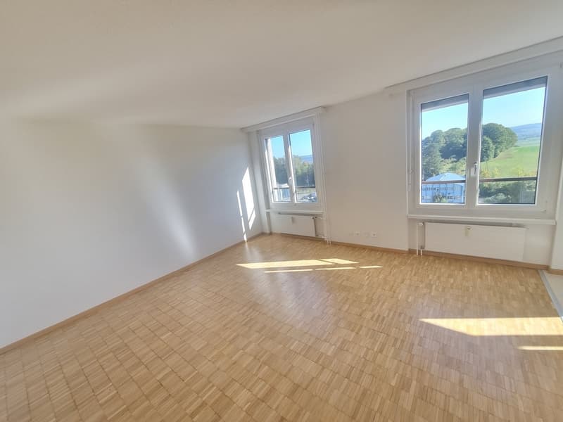 Tolle Single Wohnung mit Einstellplatz - mit traumhafter Aussicht (2)
