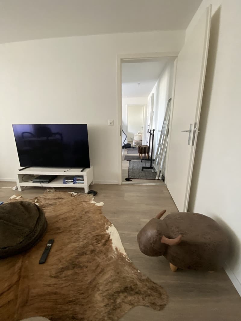 Prachtvolle 2-Zimmer-Wohnung im Herzen von Reinach BL (8)