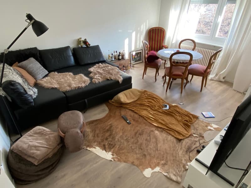 Prachtvolle 2-Zimmer-Wohnung im Herzen von Reinach BL (9)