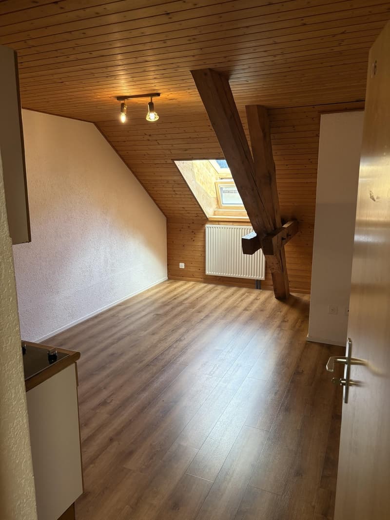 Spacieuse chambre avec cuisine - en plein centre ! (1)