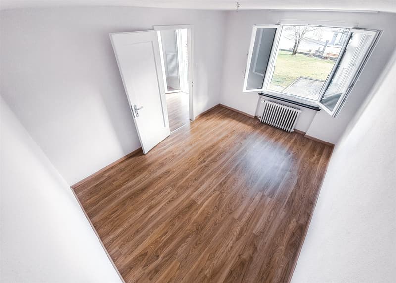 Lichtdurchflutete renovierte Wohnung (4)
