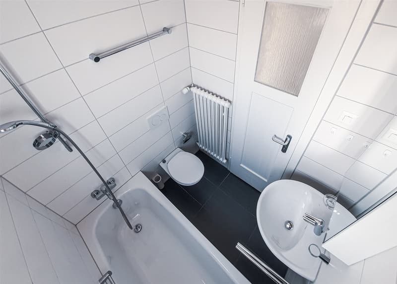 Lichtdurchflutete renovierte Wohnung (5)
