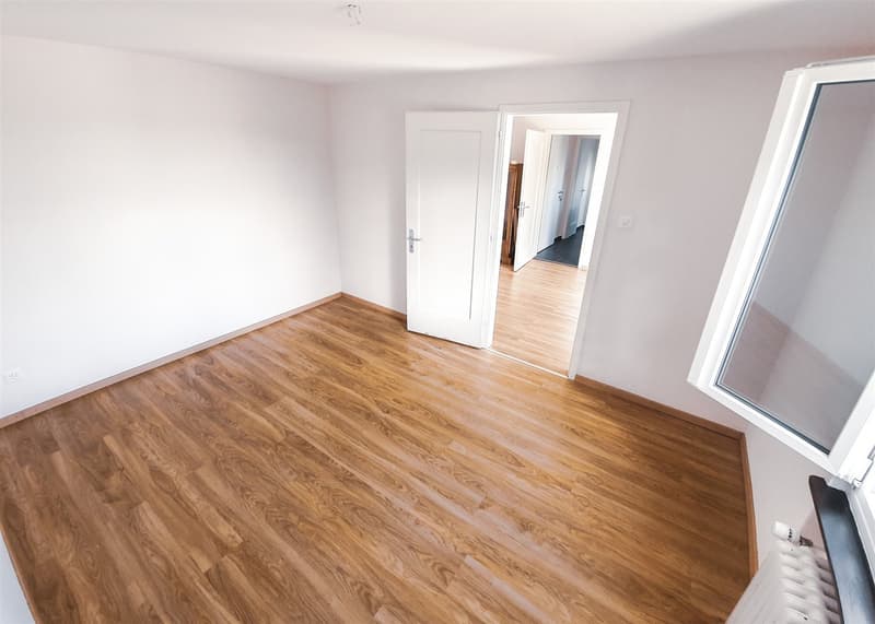 Lichtdurchflutete renovierte Wohnung (2)