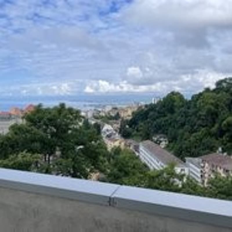 2 pièces près du Chuv et métro avec balcon et vue sur le lac (1)