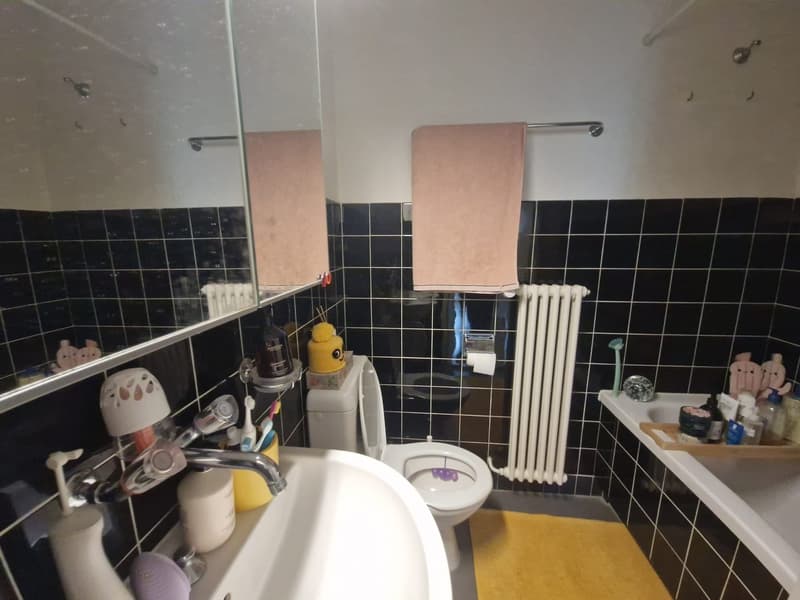 Helle und geräumige 3½-Zimmer-Wohnung an zentraler Lage in Baden (7)