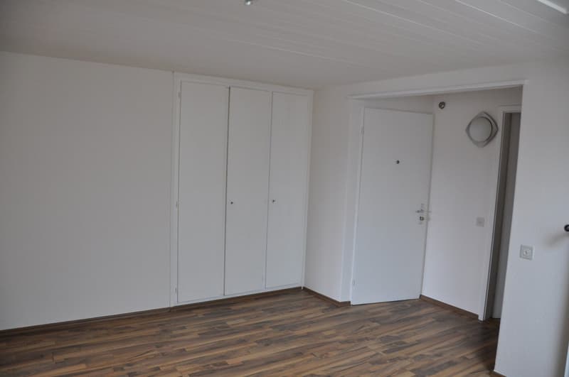 Gemütliche und schöne Dachwohnung zu vermieten (4)