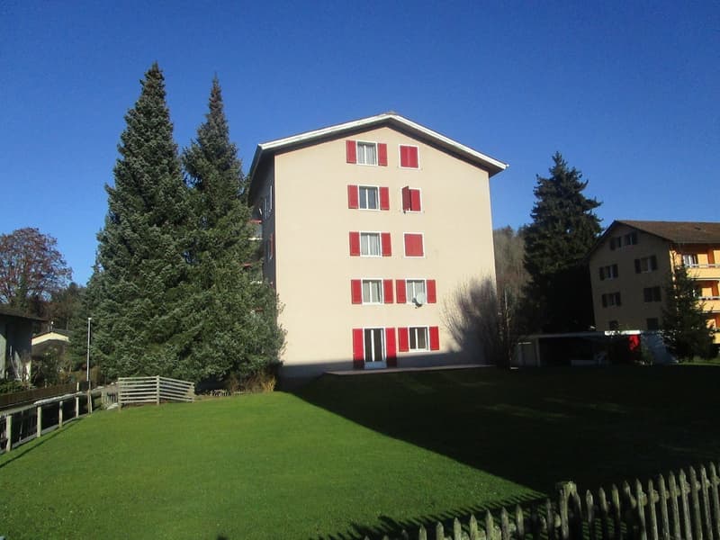 Gemütliche und schöne Dachwohnung zu vermieten (1)