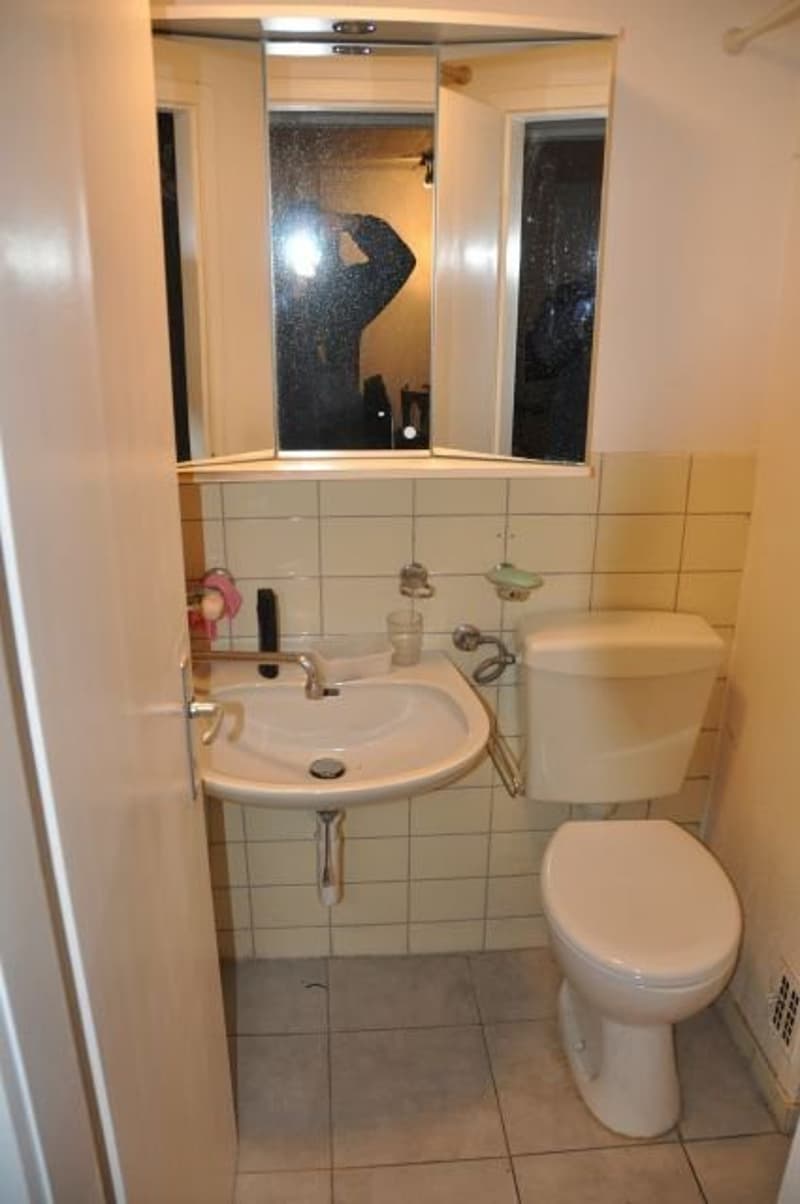 Gemütliche und schöne Dachwohnung zu vermieten (6)