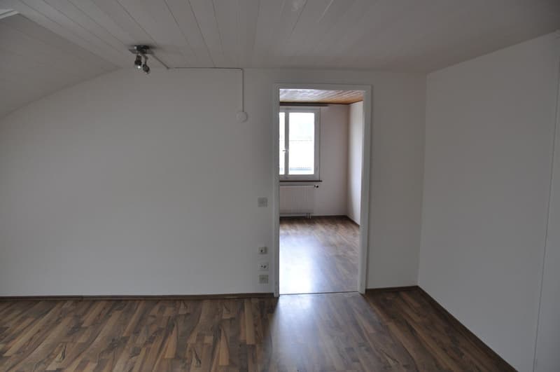 Gemütliche und schöne Dachwohnung zu vermieten (5)