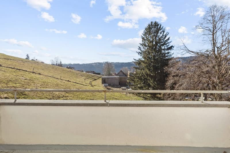 Rénové - balcon - bon emplacement (3)