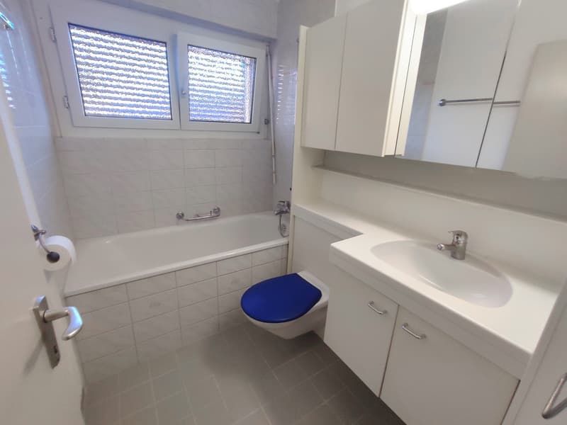 Gemütliche und helle Wohnung an zentraler Lage (4)