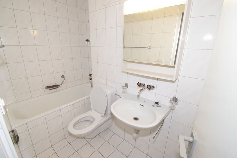 1 Zimmerwohnung in Solothurn (5)