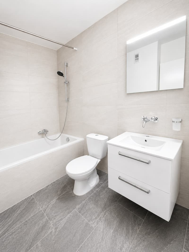 Première location après rénovation (3)