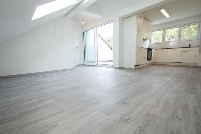 Moderne Dachwohnung mit ganz toller Aussicht! (2)
