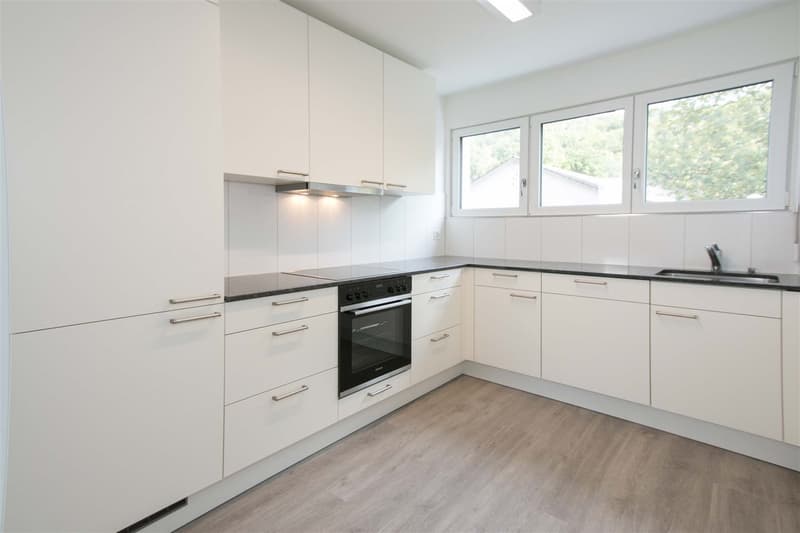 Moderne Dachwohnung mit ganz toller Aussicht! (3)