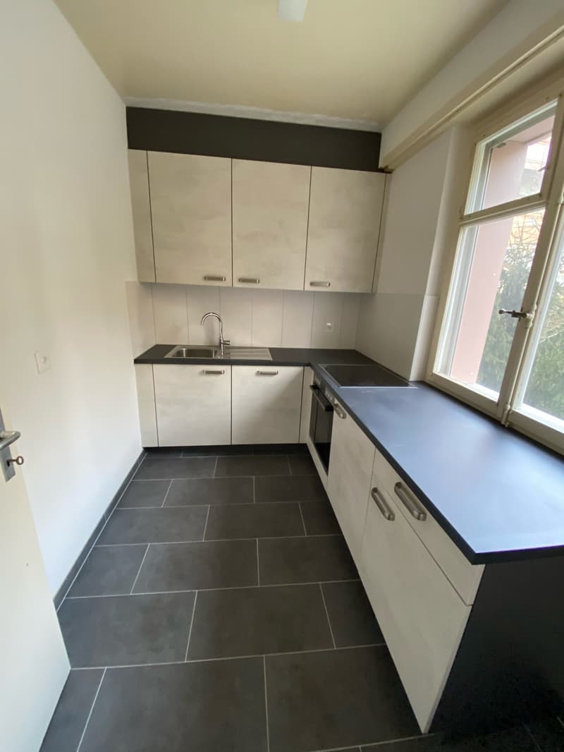 Studio rénové près du CHUV (1)