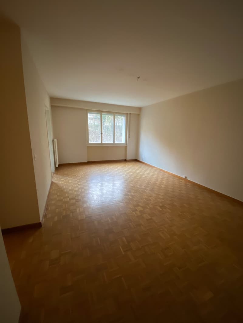 Studio rénové près du CHUV (3)