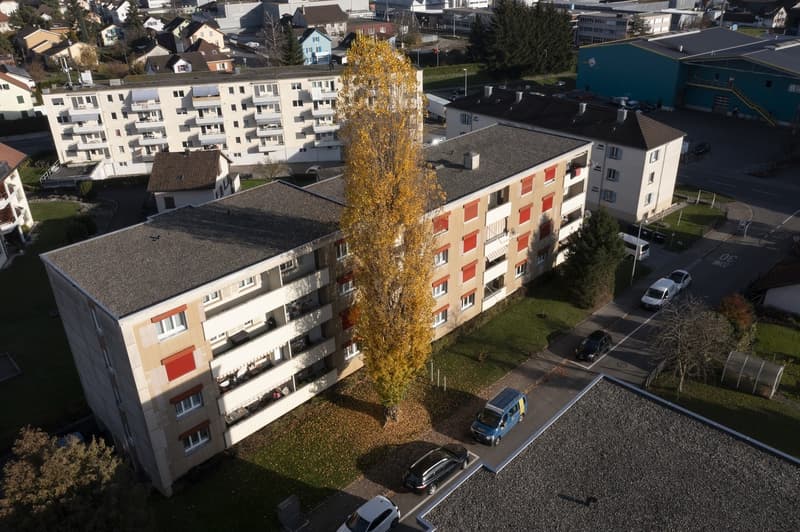 Alpsteinstrasse 2/4