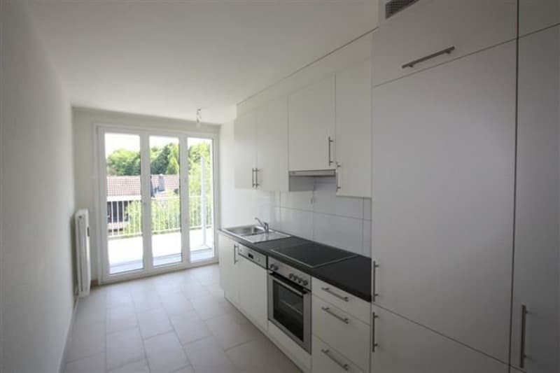 Schöne 3 ZWG mit grossem Balkon! (2)
