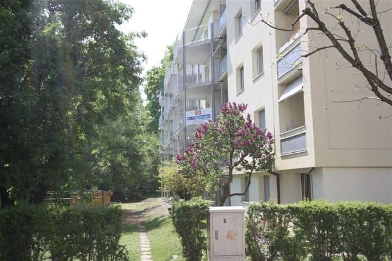 Schöne 3 ZWG mit grossem Balkon! (1)