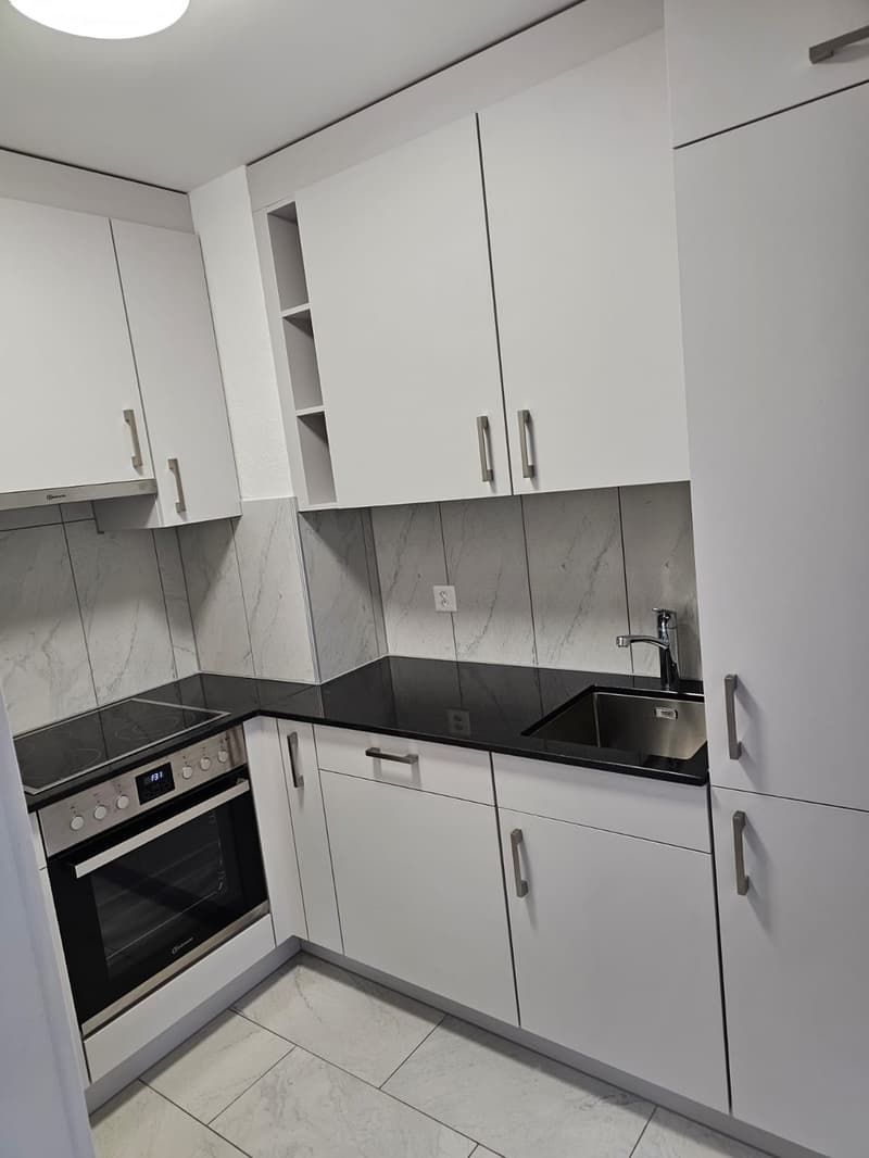 Appartement entièrement rénové, emplacement idéal (5)