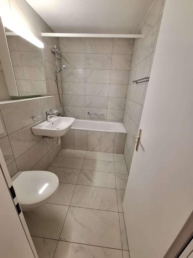 Appartement entièrement rénové, emplacement idéal (3)