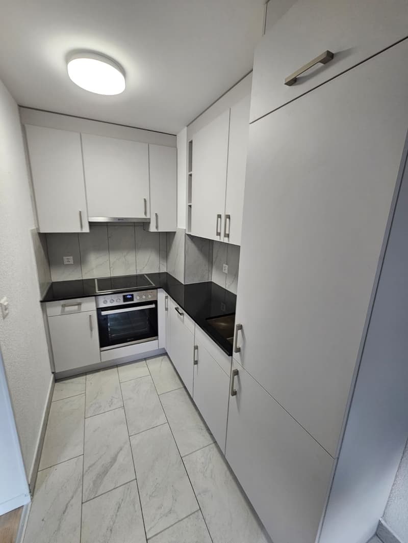 Appartement entièrement rénové, emplacement idéal (4)