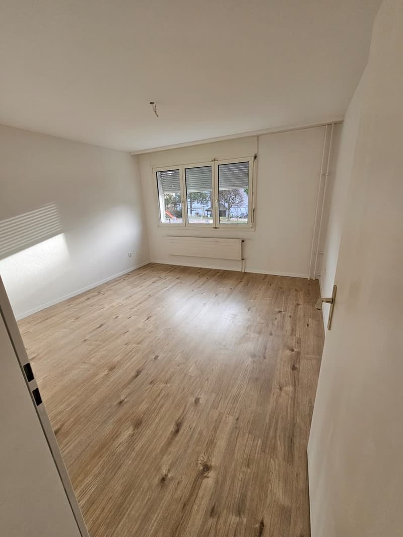 Appartement entièrement rénové, emplacement idéal (2)