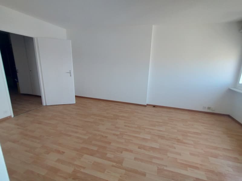 Au centre de Malley splendide appartement renové avec balcon et vue (7)
