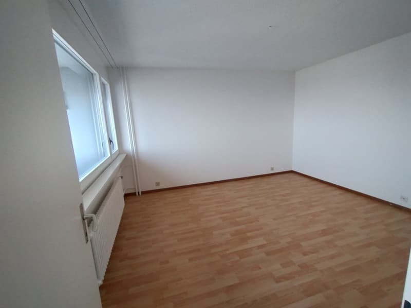 Au centre de Malley splendide appartement renové avec balcon et vue (10)