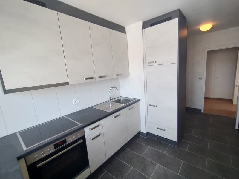 Au centre de Malley splendide appartement renové avec balcon et vue (4)