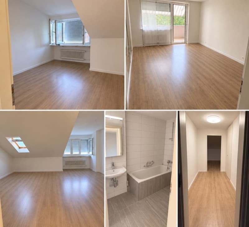 Charmante 3-Zimmer-Wohnung mit Balkon & Gartenmitbenutzung  Reinach BL (3)