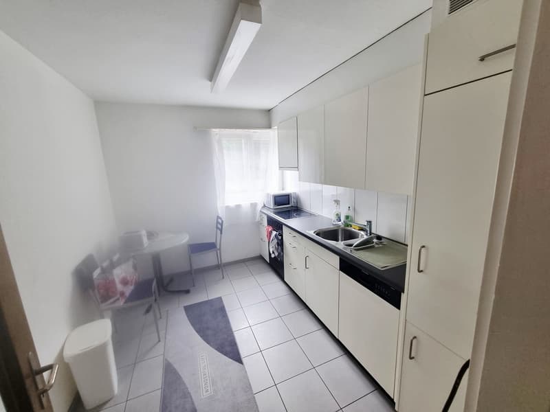 Komfortable Wohnung in der grünen Natur (1)