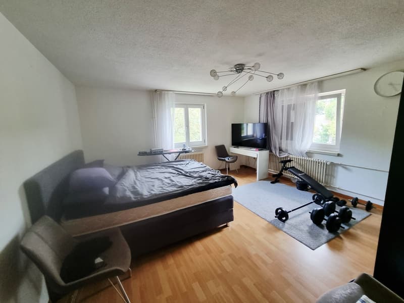Komfortable Wohnung in der grünen Natur (6)