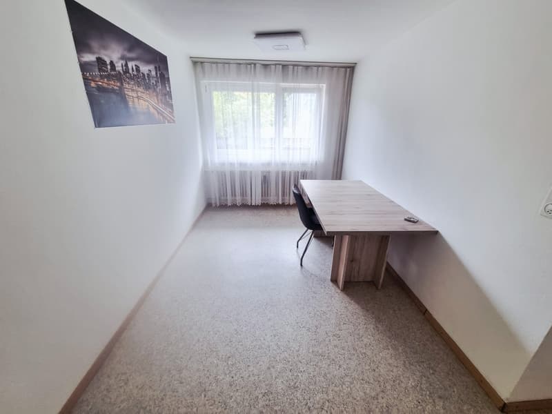 Komfortable Wohnung in der grünen Natur (3)