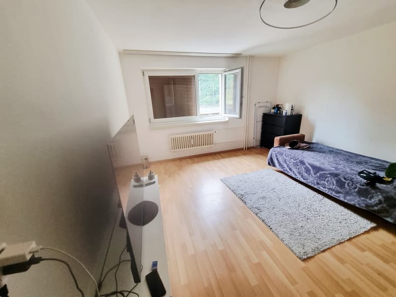 Komfortable Wohnung in der grünen Natur (4)