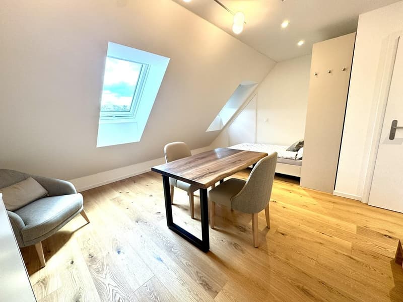Exklusive möblierte Dachwohnung mit atemberaubender Aussicht über Zürich (6)