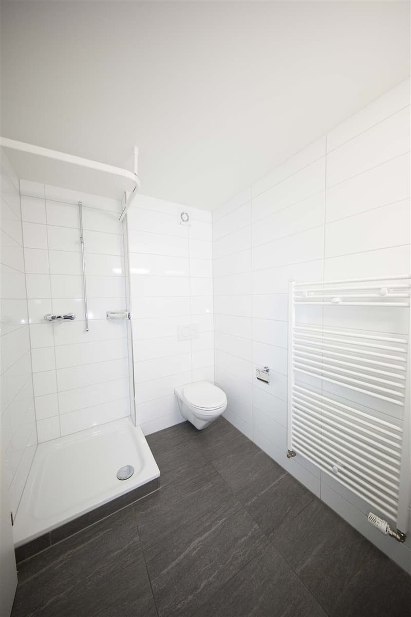 Topmoderne Studiowohnung mit Gartensitzplatz! (6)