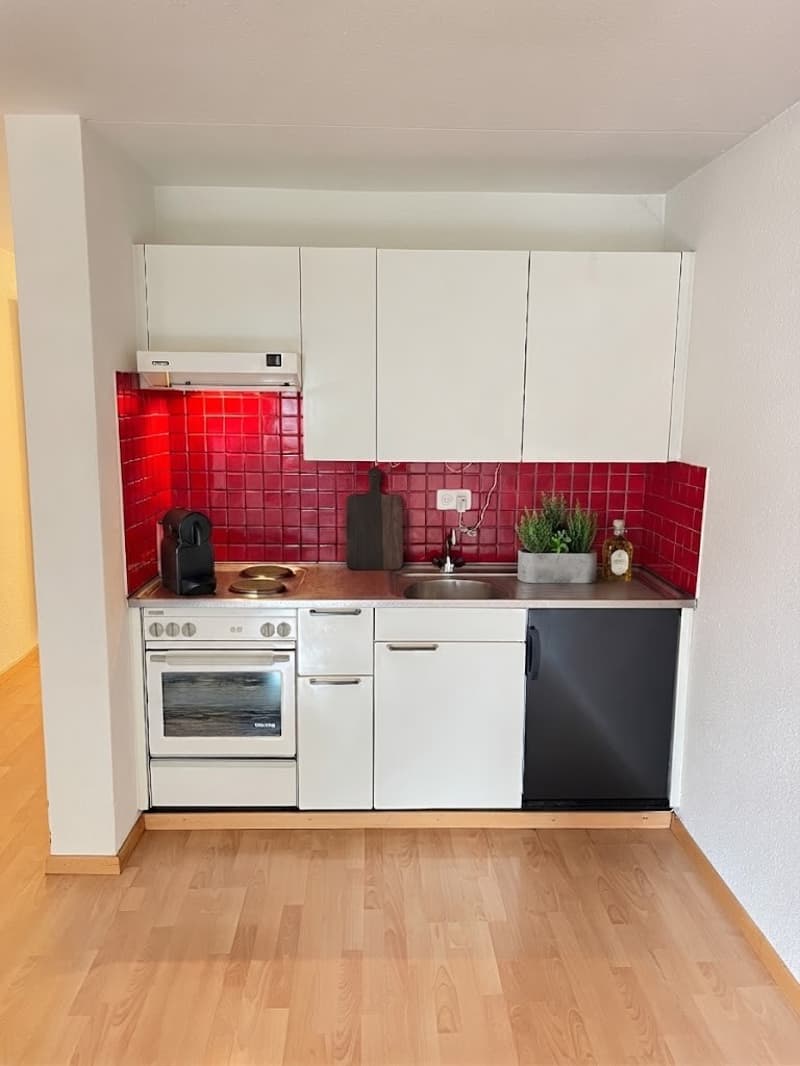 Zentrales Wohnglück  Charmante 1-Zimmer-Wohnung zu vermieten! (3)