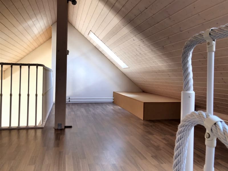 Dachwohnung mit Gallerie (8)