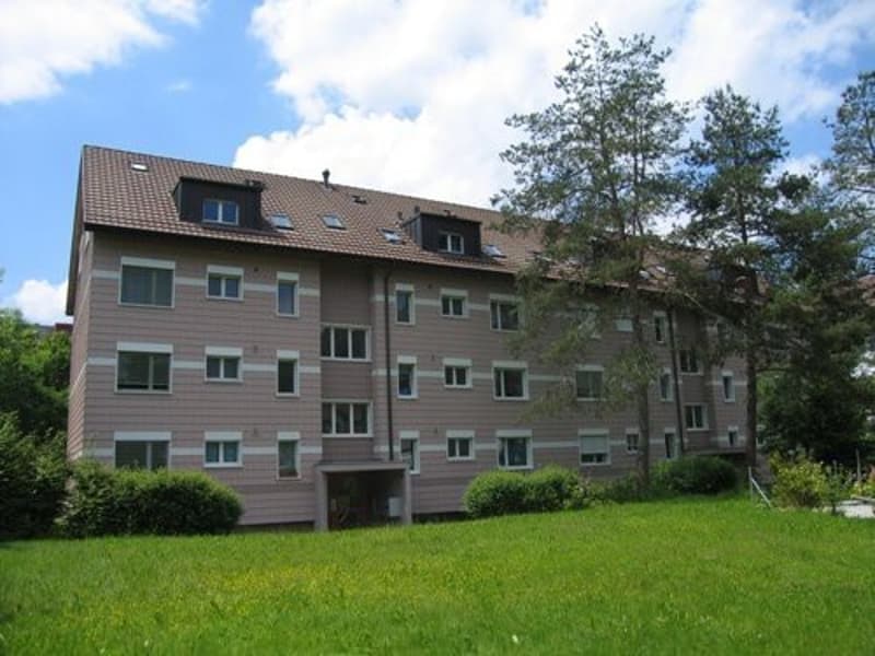 Dachwohnung mit Gallerie (13)
