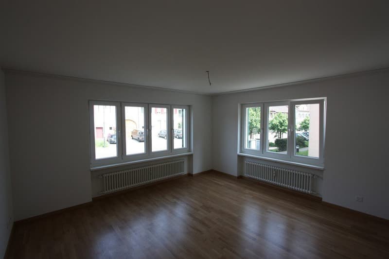 Im Herzen von Pratteln! (3)