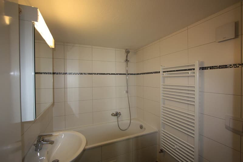 Im Herzen von Pratteln! (2)