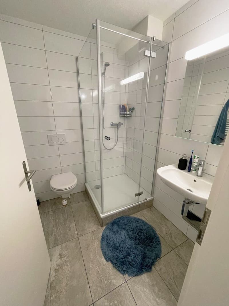 Attraktive Helle, Wohnung mit schöner Aussicht! (7)