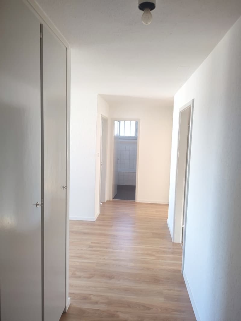 Zentrale Lage mit Blick ins Grüne! (3)