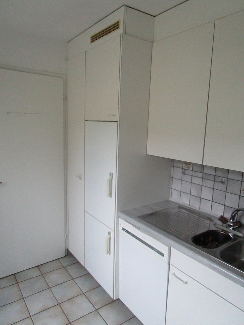Wohnung mit herrlichem grünen Umschwung ! (8)