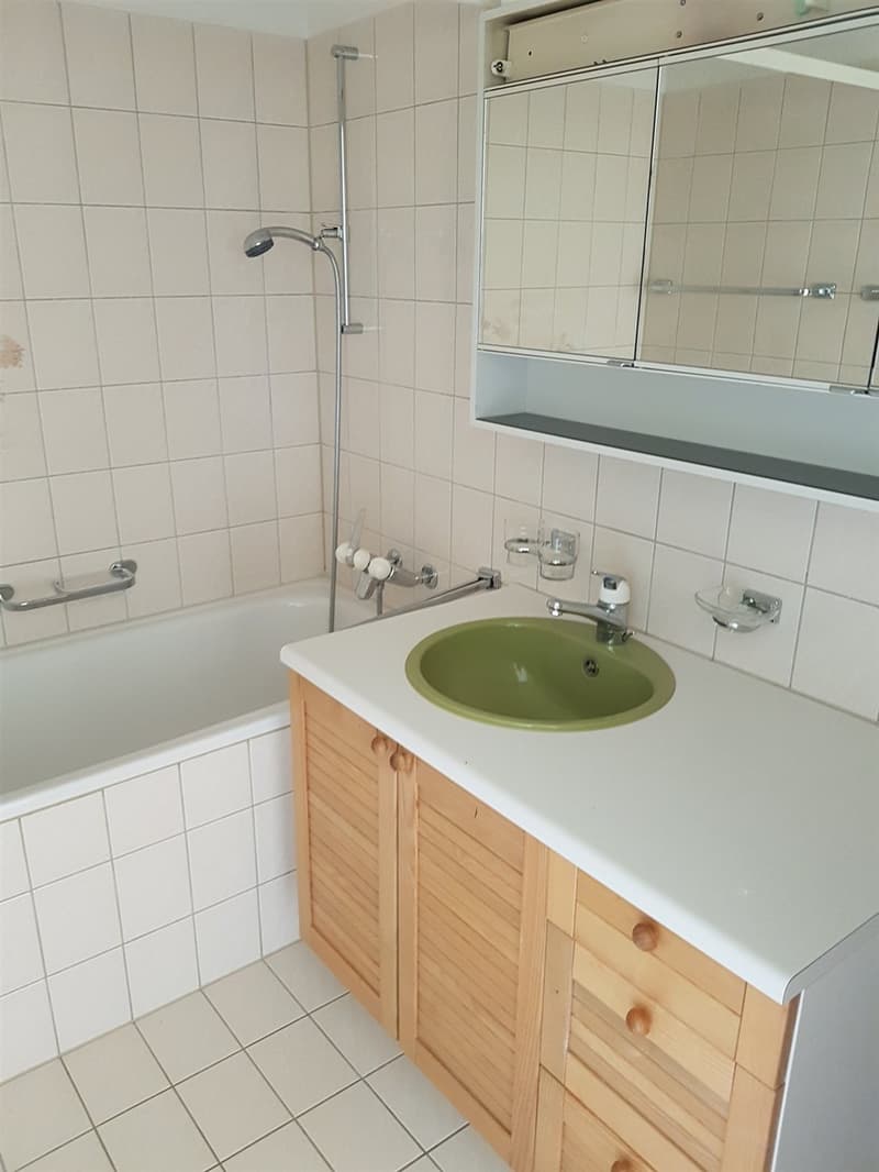 Wohnung mit herrlichem grünen Umschwung ! (10)