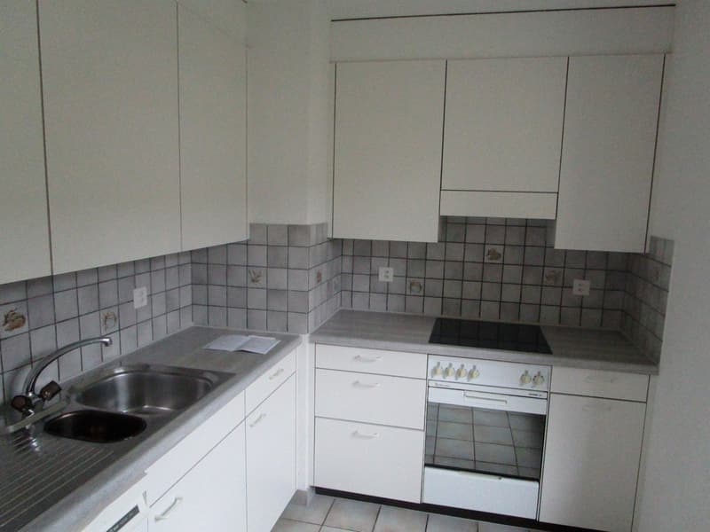 Wohnung mit herrlichem grünen Umschwung ! (7)